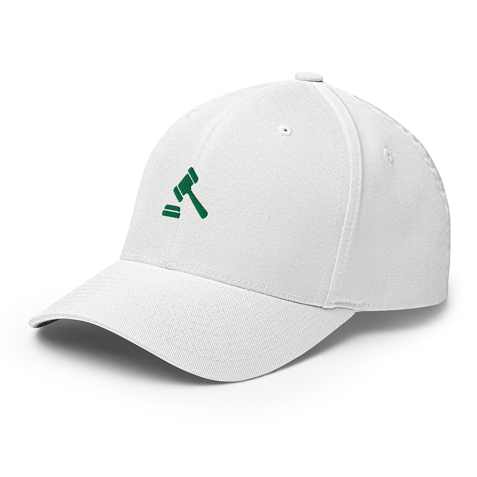 Thumbnail: CSMUN Structured Cap