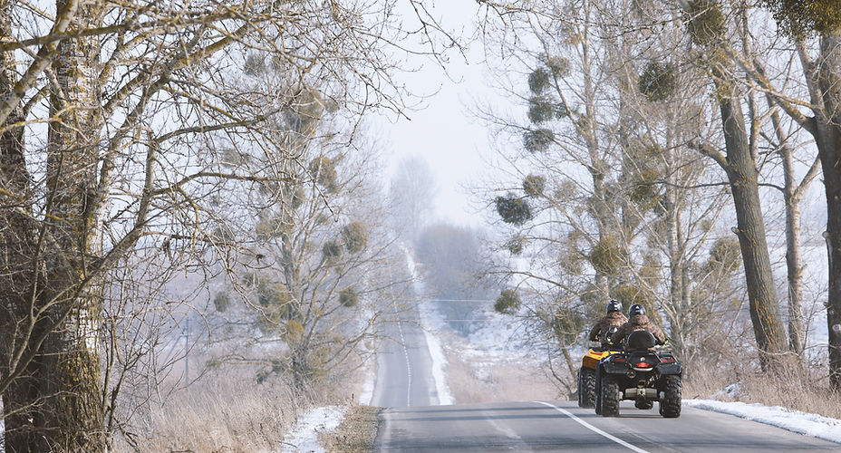two quads riding on a trail