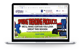 Website Laptop Sample