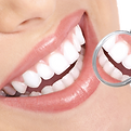 Dental brochure.png