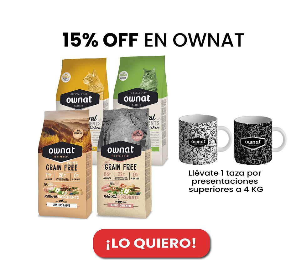 Plantilla para banners en el home de groomers.pe_Mesa de trabajo 1 copia 10