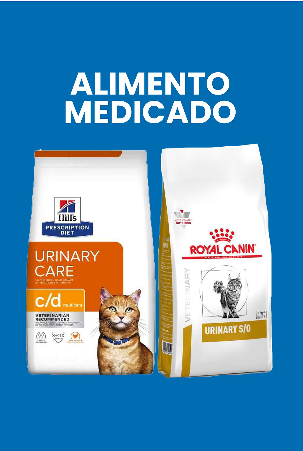 alimento medicado gatos_Mesa de trabajo 1 copia 4