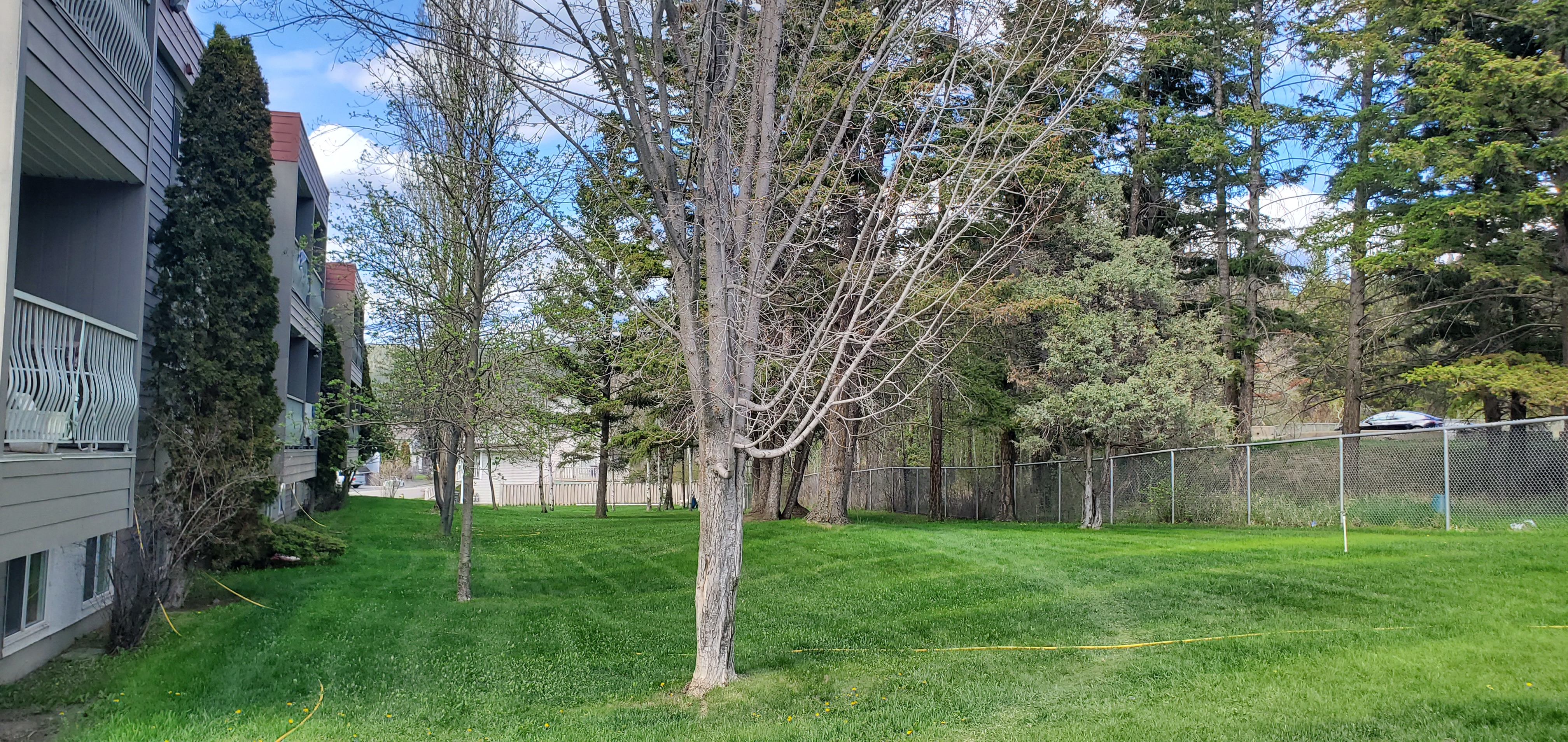 Williams Lake Rentals Williams Lake Rental