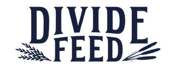 DF(B)_edited.webp