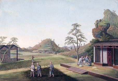 Ten Scenes Illustrating the Growing and Processing of Tea 種茶製茶圖十幅, c. 1800s. Gouache on paper. From the UMAG collection