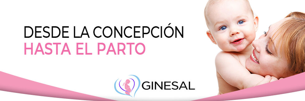 banner index ginesal1.jpg