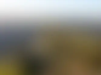 Excellent Opportunities in Gables - Act Quickly!