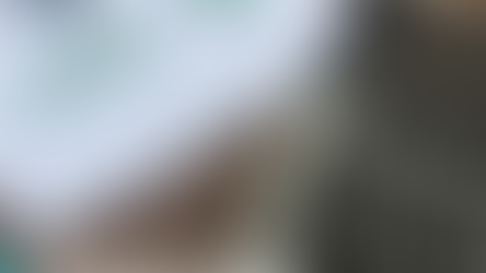 Interest Rate Trends in Australia 2026 and Their Impact