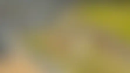 Act Now: Limited House & Land Packages in The Gables with Exclusive Discounts