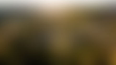 Property Trends in Gables, NSW