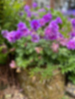 Colour and texture © Jo Sheldrake