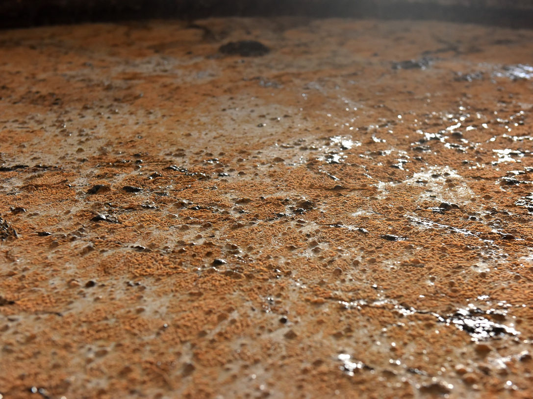 The wild process of fermentation gives the fruity estery flavors to Hampden rums.jpg