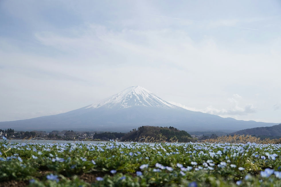 Oishi Park (photo: unsplash)