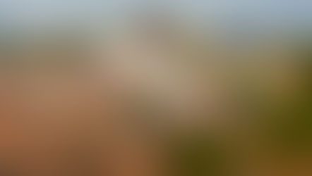 2026.03.25 奈良吉野山：漫山遍野的粉紅花海