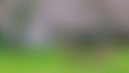 2026.04.02 - Nara Day Trip – A Quick Guide from Osaka