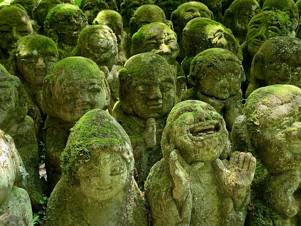 Otagi Nenbutsu-ji Temple (photo: pexels)