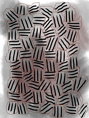 IMG_0341.PNG