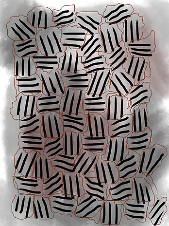 IMG_0341.PNG