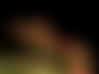 Alejandra Etcheverry - Cuando corren los lobos