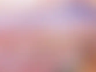 Alejandra Etcheverry - "La Primavera" - Diario La Opinión