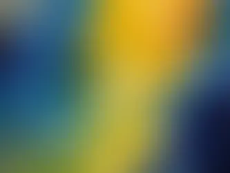 Alejandra Etcheverry - Con el Sol Reflejado - Diario La Opinión