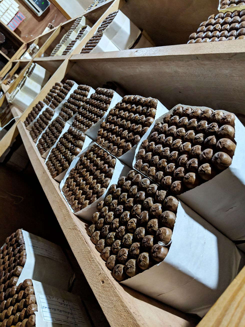 What can I say? I'm beginning to love Dominican tobacco! Each factory has its own unique curing process when it comes to producing cigars. This weeks review is brought to you by Adventura, The Explorer by Tabacalera William Ventura. Aside from being a family owned business, one of the coolest things about this factory is it's been led by a man thats been in the tobacco business for 45 years, Williams Ventura who in turn handed the reigns over to his son Henderson Ventura. With 12 years under his belt, every blend released under Adventura since 2018 has been blended by him; all by the age 29 years old. Pretty impressive. Adventura is Henderson's baby and The Explorer is a collaboration with partner McKay Knobel of Cuba d’Oro – Fine Artisanal Cigars. ADVENTURA THE EXPLORER COLOR Medium Brown SIZE 4 × 50 STRENGTH Medium LENGTH 4 WRAPPER TYPE Mexico RING 50 ORIGIN Dominican Republic FILLER Dominican Republic / Ecuador Check out the review on this short robusto: