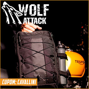 wolf tumb.jpg