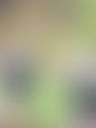 Beehives in Slavic Lands