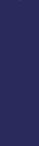 160-x-600-B-Bright.gif