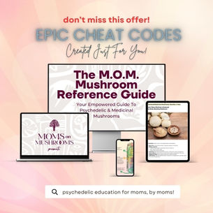 The Ultimate Mushroom Guide for Mothers: Navigating Functional Mushrooms & Psychedelic Mushrooms with Confidence