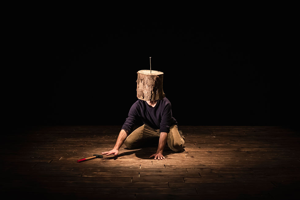 _DSC4406_Sawdust Symphony_photo by Jona Harnischmacher.jpeg