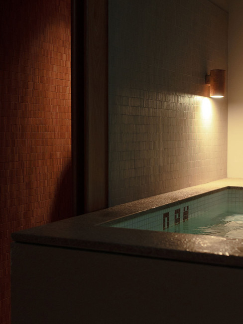 Capybara Bathing Singapore - Sound Bathing and Aufguss