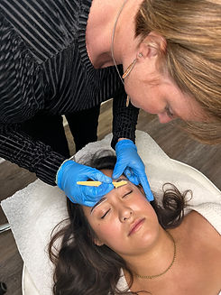 powder brow training in corpus christi