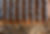 MAPLE-0146.jpg