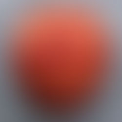 Druide Gardien des souches