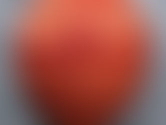 Druide Gardien des souches