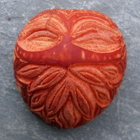 Druide Gardien des souches