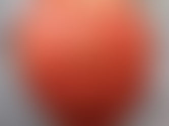 Druide Gardien de l'humus