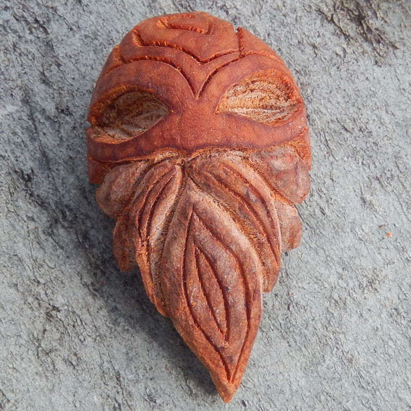 L'assemblée des Carnut