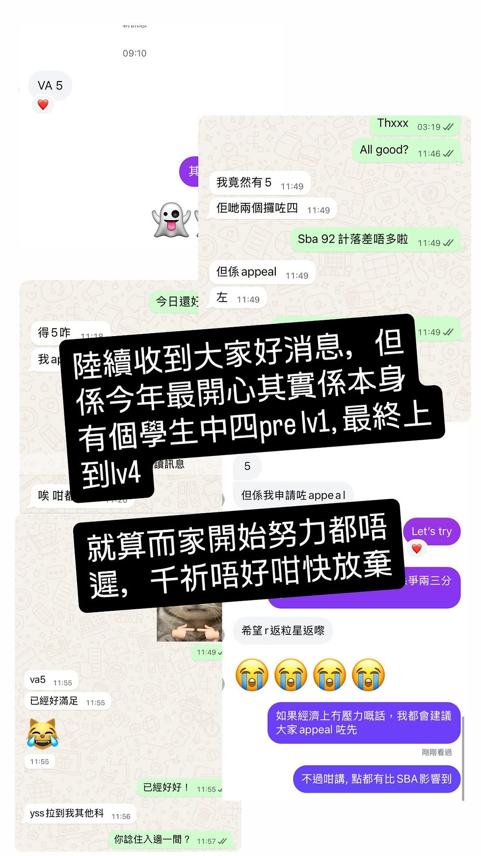 【2025 DSE VA 成績揭曉，成績再創巔峰！】
