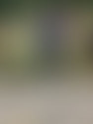 Exploring the New Garden Space