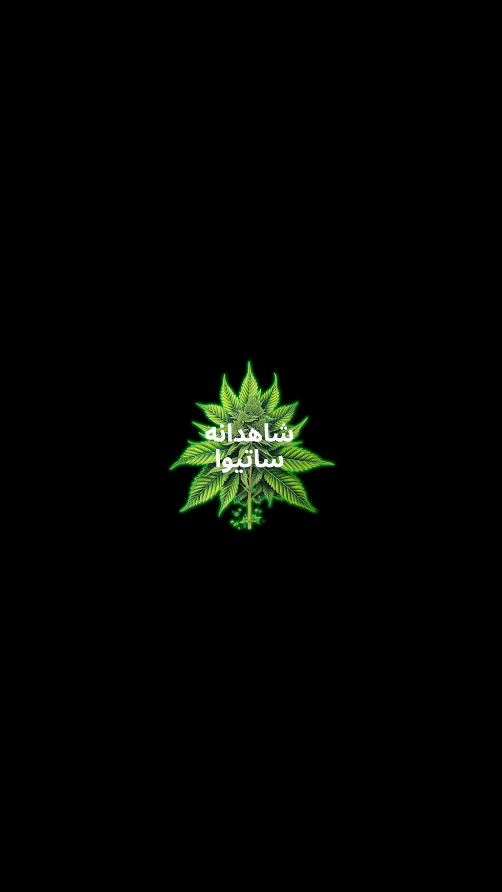 Miniatura: Coleção Cannabis - Império Persa - Medicina, Filosofia e Cultura