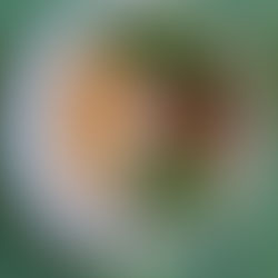 Élelem az erdőkertből