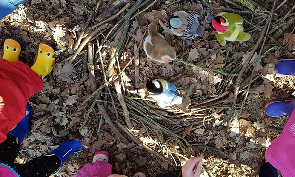 01. Nature Tots.png