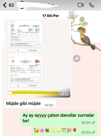 Homeopati tedavisi ile HPV'den iyileşen bir danışanın Homeopat Aysun Bayrak’a müjdeli haberi verdiği WhatsApp konuşması.