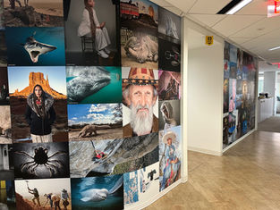 On the Wall at National Geographic's DC Office