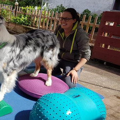 Alltag und Sport verbinden - Lucky