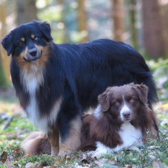 Yuma und Tario