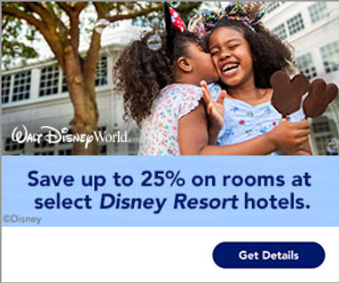WDW_FY23_Q1 Special Room Offer_Broad Room Only_TAS_TP Web Banner_3449860_300x250.jpg