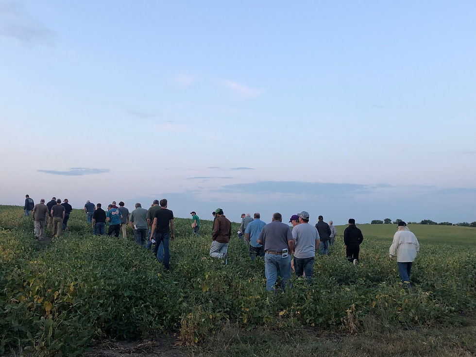 LSFieldDay_soybeanfield.jpeg